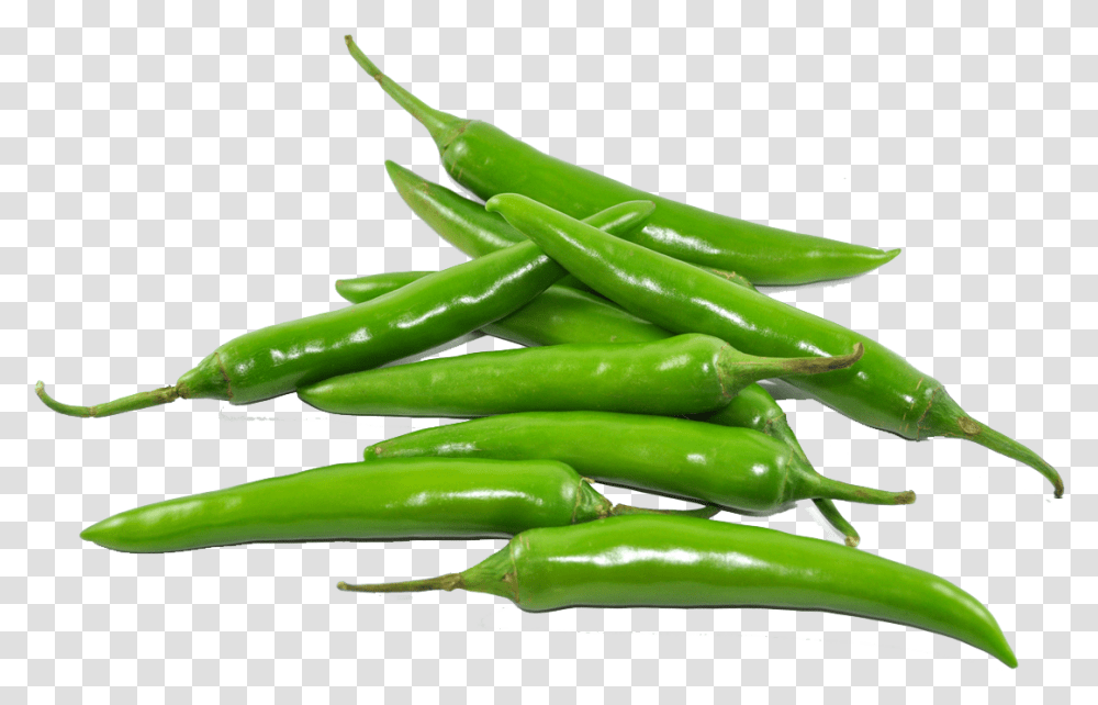 Best Chili Green Chilli, Plant, Vegetable, Food, Produce Transparent Png