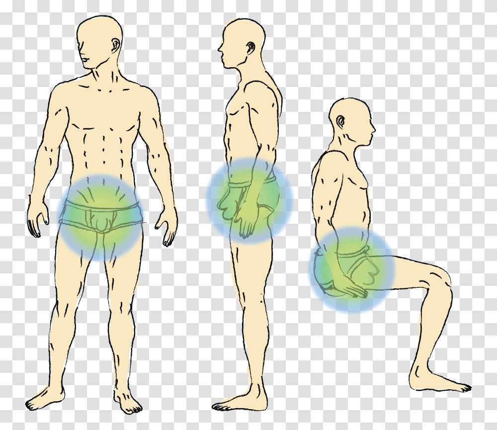 Best Cooling And Testicles Support Underwear Varicocele Underwear, Plot, Person, Human, Sphere Transparent Png