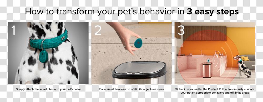 Best Dog Training Collar Crowdbooster, Person, Toilet, Indoors, Tin Transparent Png