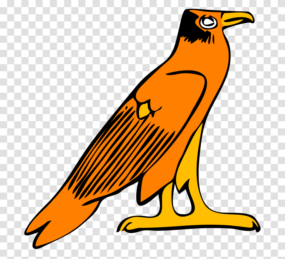 Best Falcon Clip Art, Animal, Bird, Logo Transparent Png