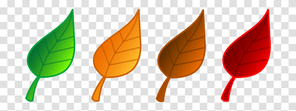 Best Fall Leaves Clip Art, Leaf, Plant, Tree, Veins Transparent Png