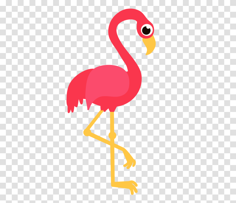 Best Flamingo Image Background Flamingo Clipart, Bird, Animal, Beak Transparent Png