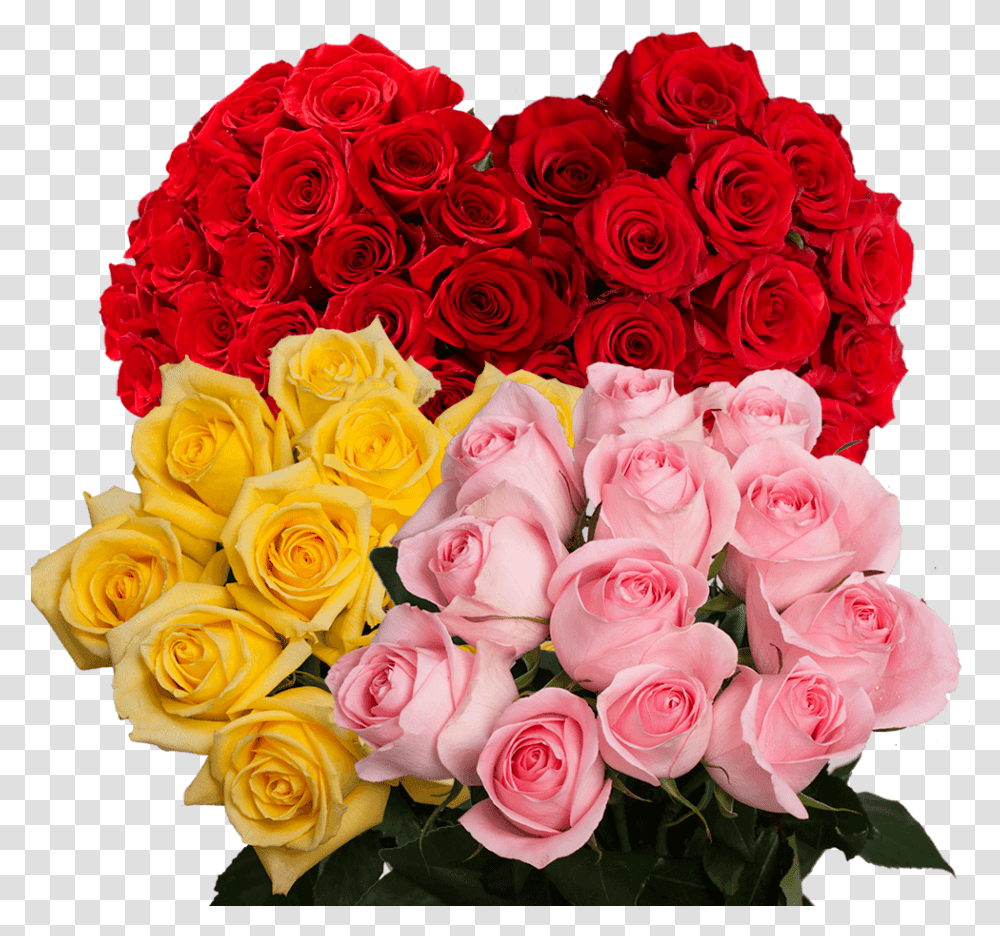 Best Flowers For Birthday Beautiful Rose Color, Plant, Blossom, Flower Bouquet, Flower Arrangement Transparent Png