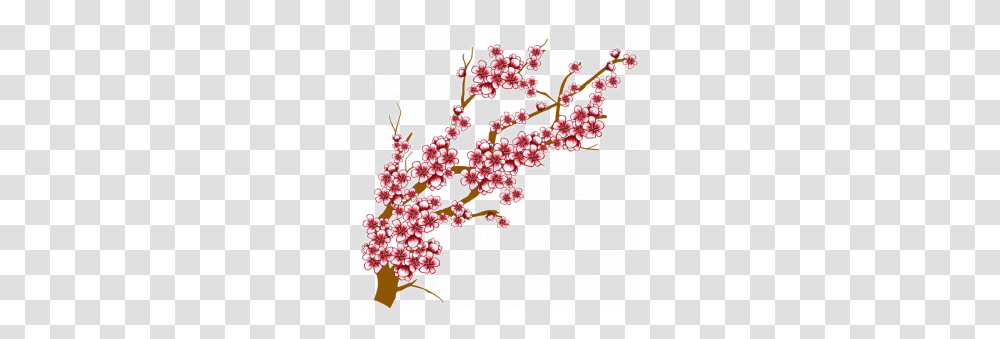 Best Free Cherry Blossom, Plant, Flower, Cross Transparent Png