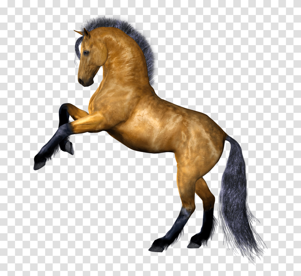 Best Free Horse Icon Horse, Mammal, Animal, Stallion, Antelope Transparent Png