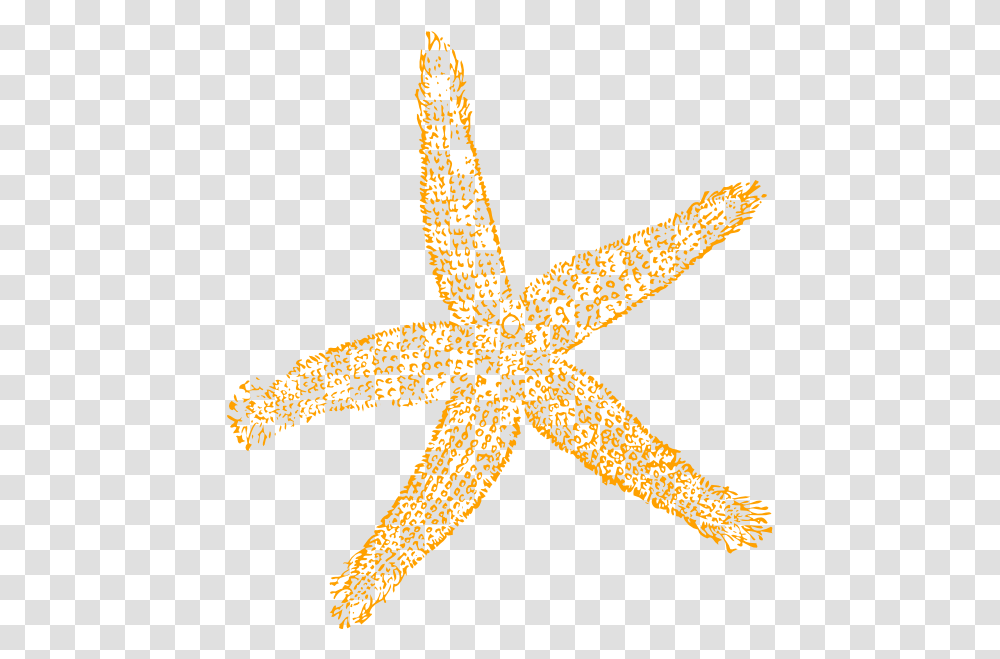 Best Free Images Clipart Starfish Fish Clip Art, Lizard, Reptile, Animal, Sea Life Transparent Png