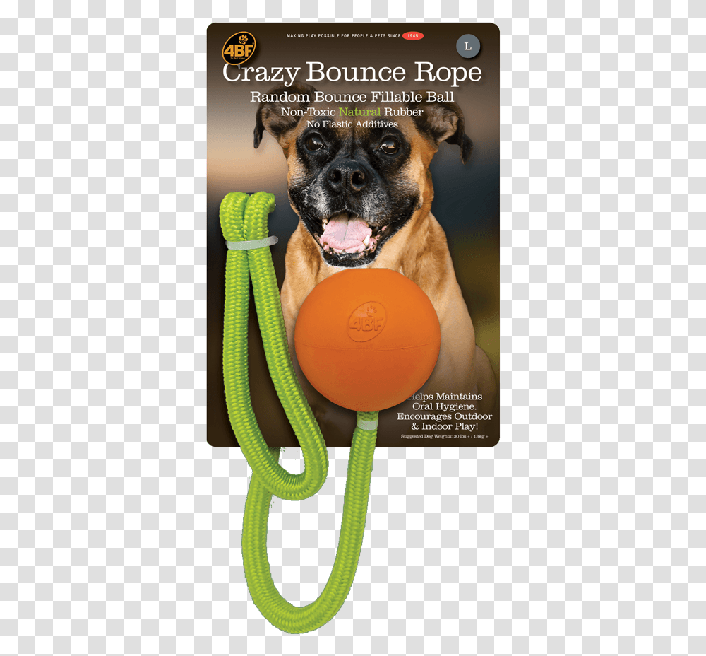 Best Friends Natural Rubber Pet Toys Dog Catches Something, Canine, Animal, Mammal, Boxer Transparent Png