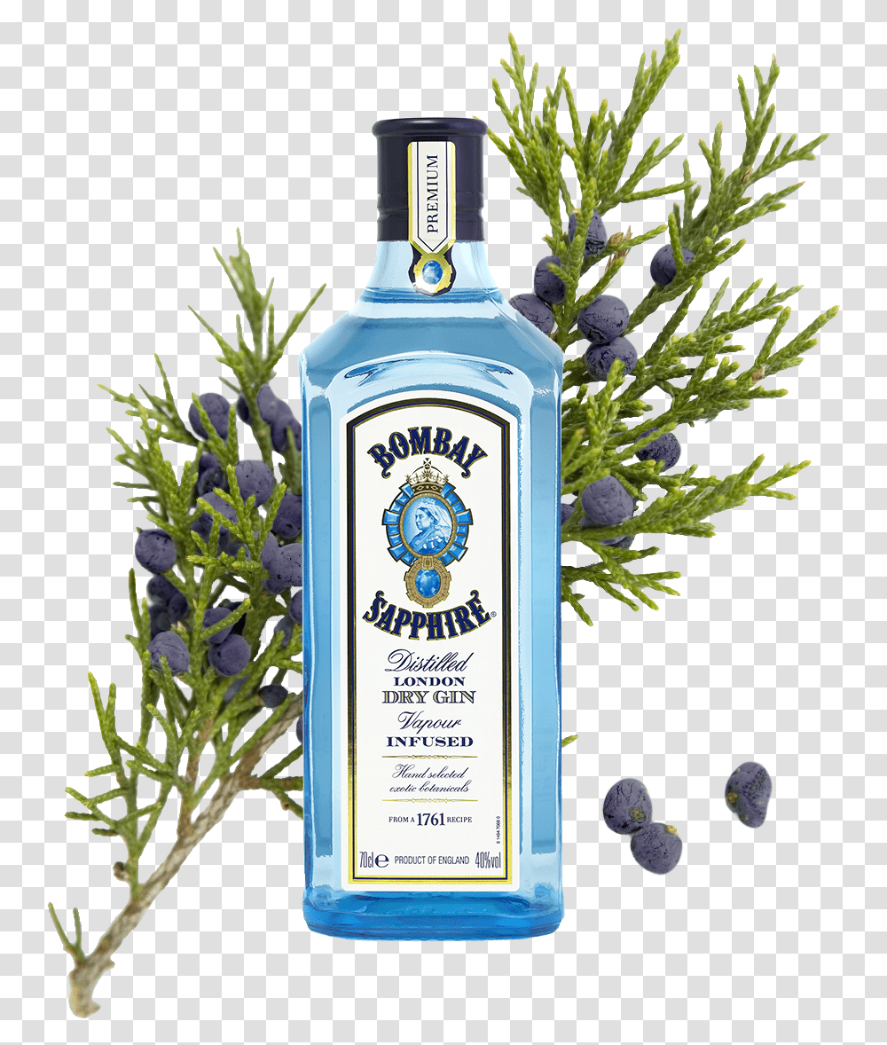 Best Gin Brands 2020 Bombay Sapphire Gin, Liquor, Alcohol, Beverage, Drink Transparent Png