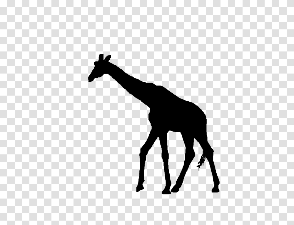 Best Giraffe Silhouette, Gray, World Of Warcraft Transparent Png