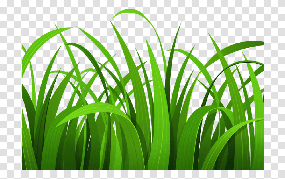 Best Grass Clipart Grass Clipart, Plant, Lawn, Green Transparent Png