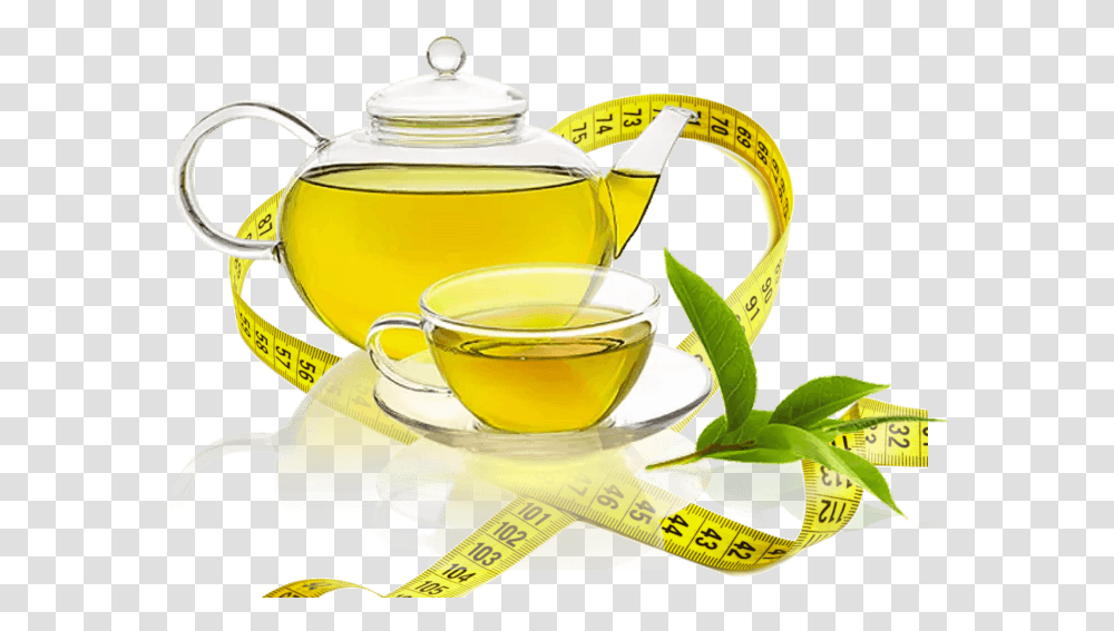 Best Green Tea In India Brands Weight Loss Epigallocatechin Gallate Egcg, Vase, Jar, Pottery, Plant Transparent Png