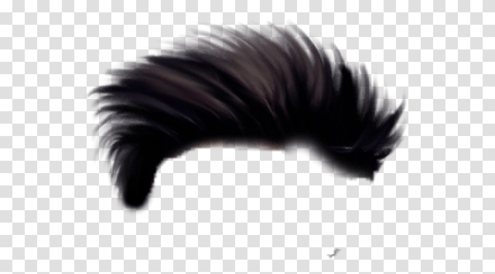 Best Hair For Editing Hair Style For Editing, Mammal, Animal, Dog, Sea Life Transparent Png