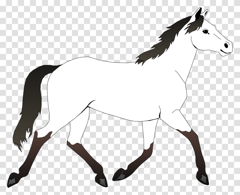 Best Horse Clipart Black And White, Mammal, Animal, Colt Horse, Bird Transparent Png