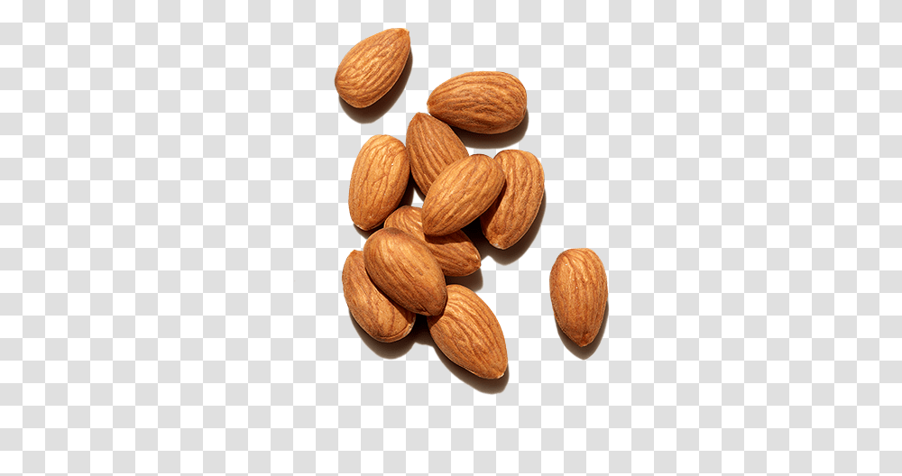 Best Ingredients For Hair Sweet Almond Oil Prose Sweet Almonds, Nut, Vegetable, Plant, Food Transparent Png