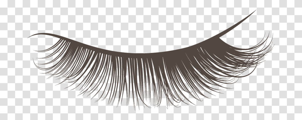 Best Lashcraft Eyelash Extensions Background Lashes Clipart, Brush, Tool, Lamp, Table Transparent Png