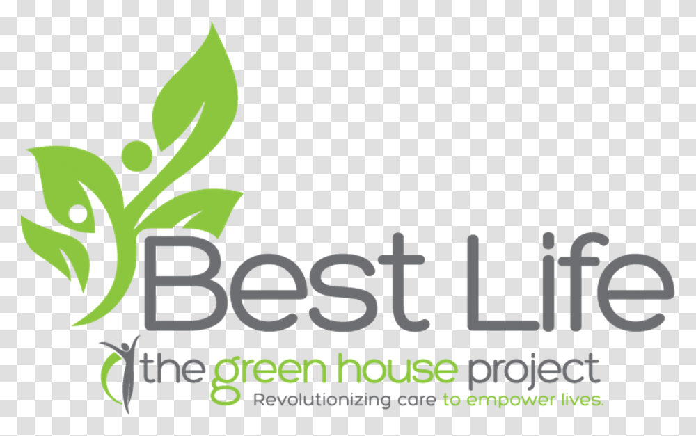 Best Life Best House, Plant, Vegetation, Vase, Jar Transparent Png