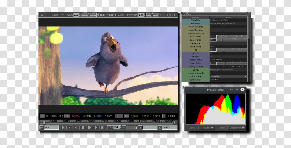 Best Linux Video Player Mpv Media Player, Bird, Animal, Monitor, Screen Transparent Png