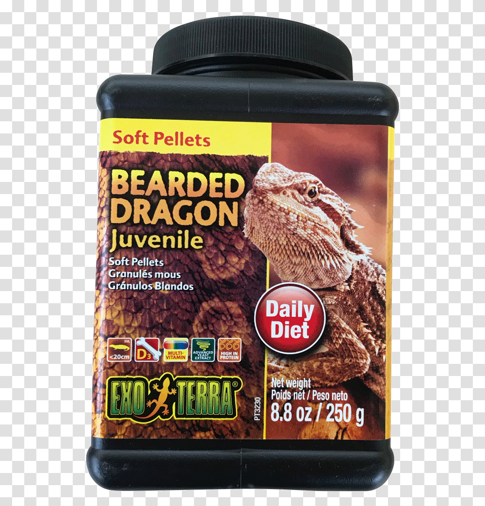 Best Online Reptile Food Supplier Dry Exo Bearded Dragon, Poster, Advertisement, Animal, Flyer Transparent Png