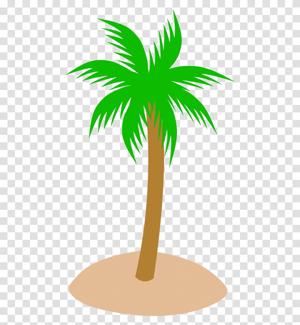 Best Palm Tree Clip Art, Plant, Arecaceae, Green, Bird Transparent Png