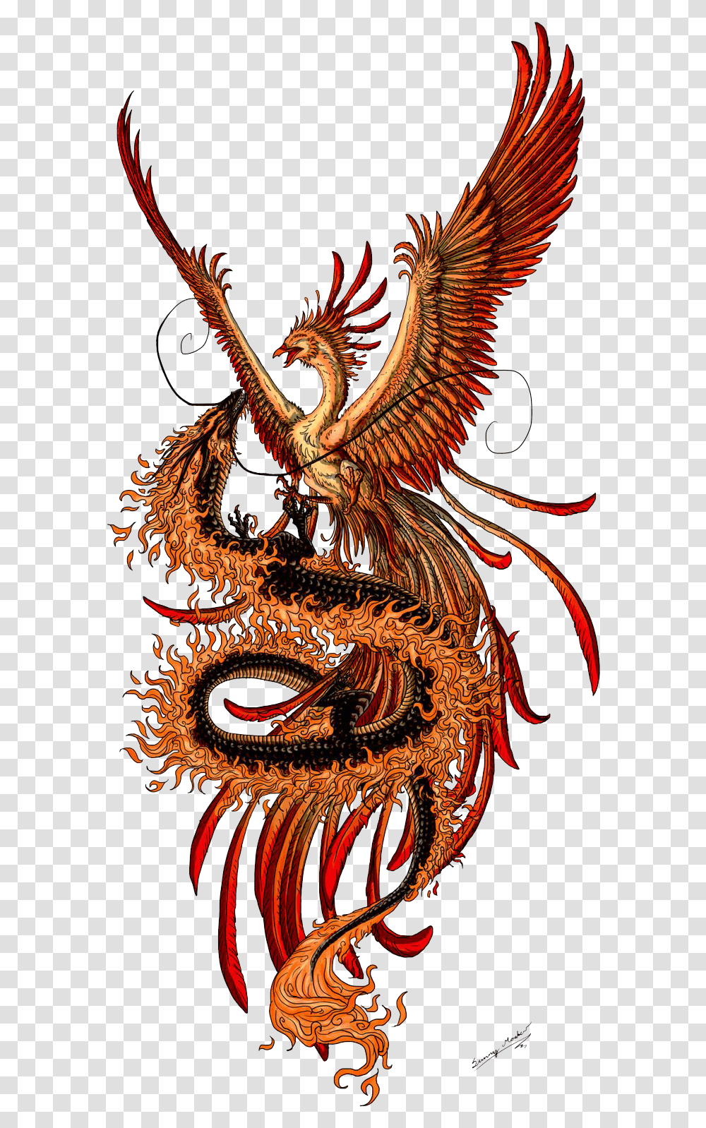 Best Phoenix Tattoos Images Dragon Phoenix Transparent Png