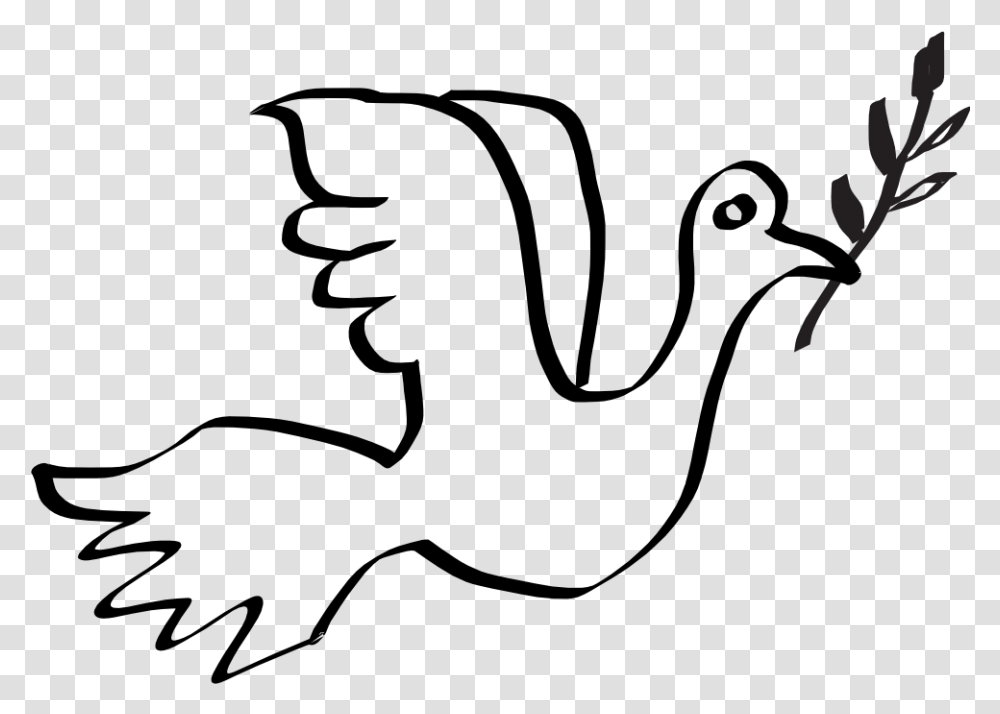 Best Photos Of Peace Symbols Dove Clipart Dove Clipart Peace, Outdoors, Nature, Animal, Mammal Transparent Png