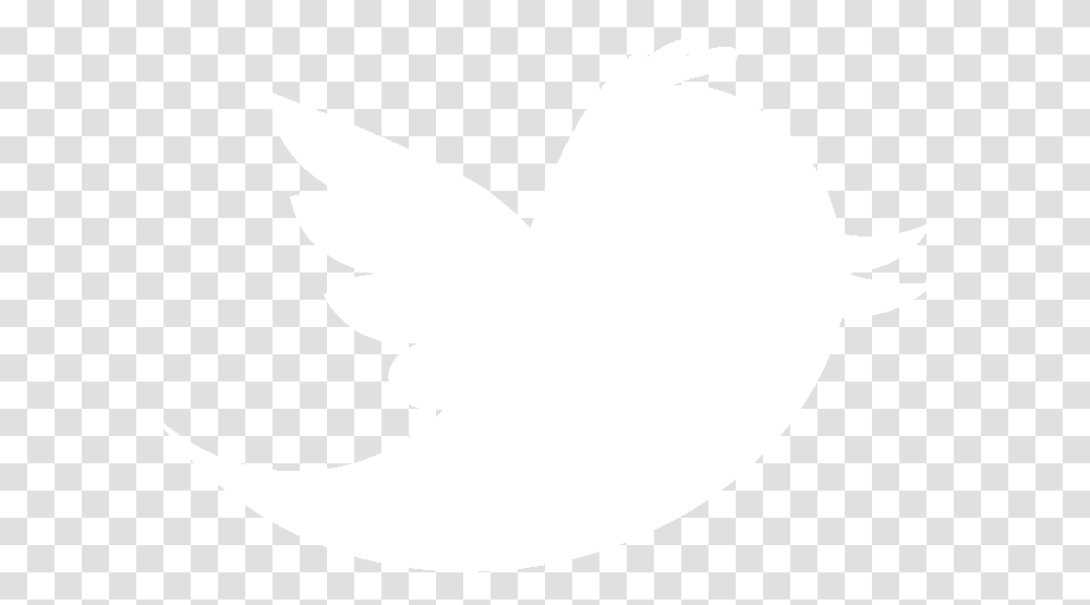 Best Photos Of White Twitter Bird Logo Spiderman White Logo, Animal, Stencil, Heart Transparent Png