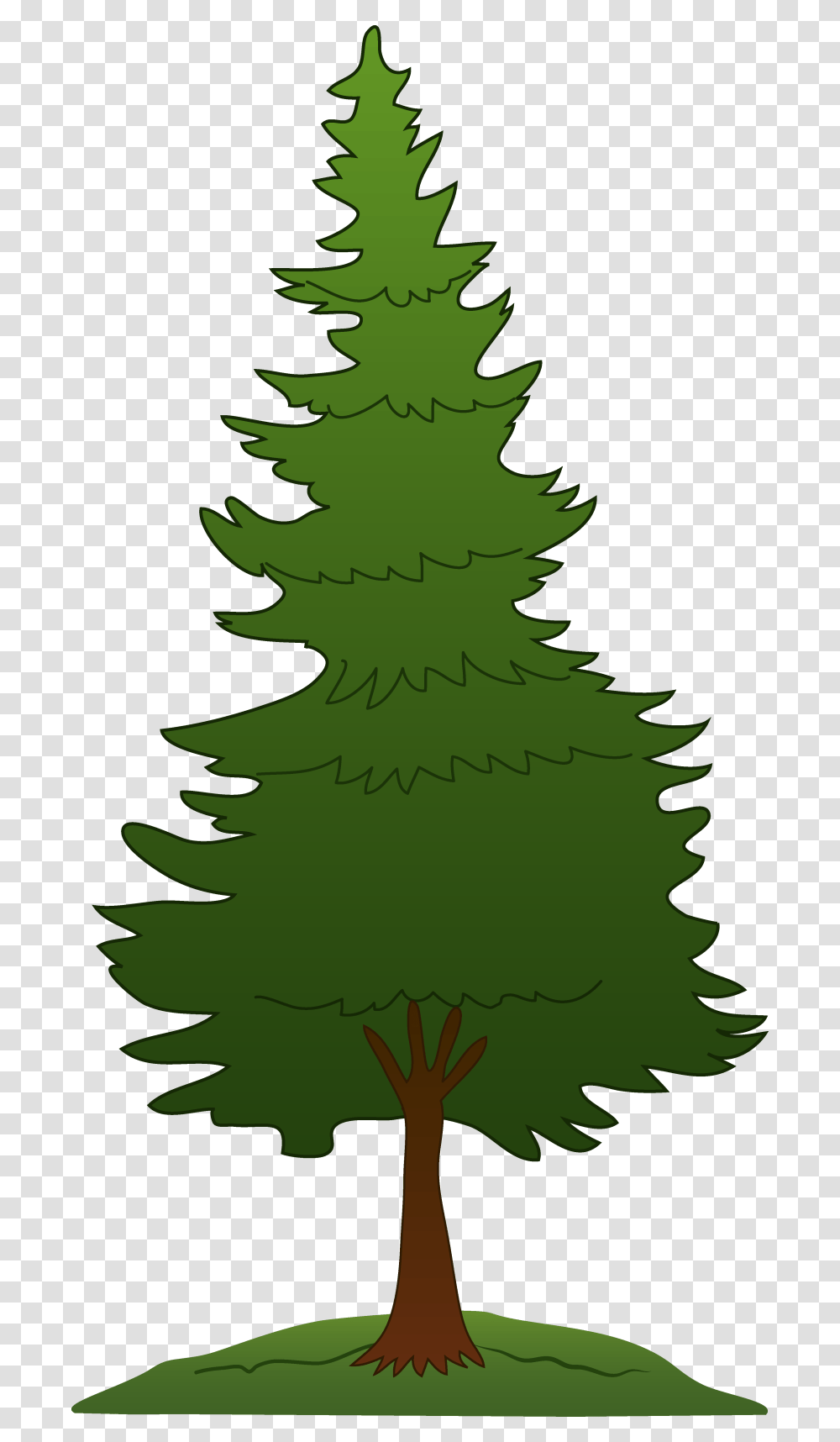 Best Pine Tree Clipart, Plant, Ornament, Christmas Tree, Person Transparent Png