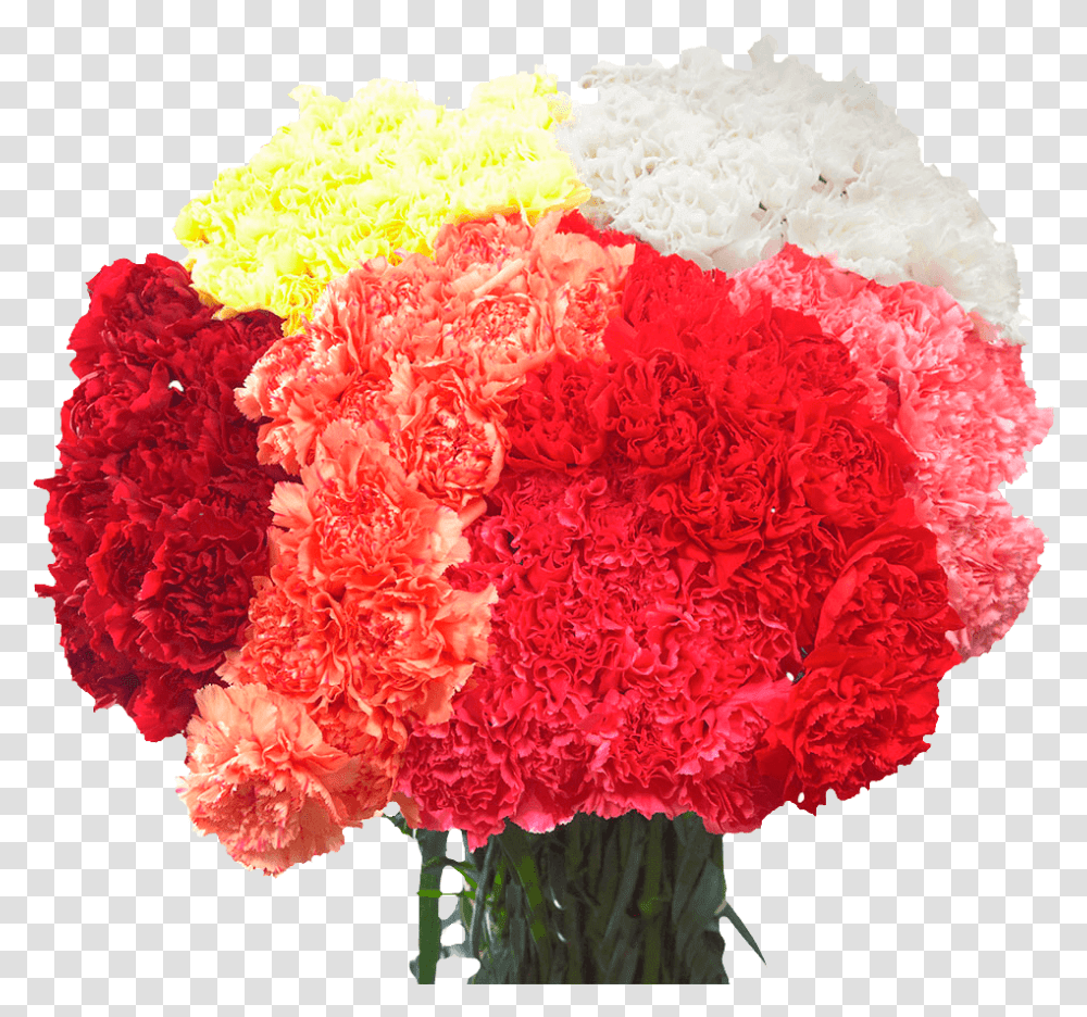 Best Price Of Carnations Artificial Flower, Plant, Blossom, Flower Arrangement, Flower Bouquet Transparent Png
