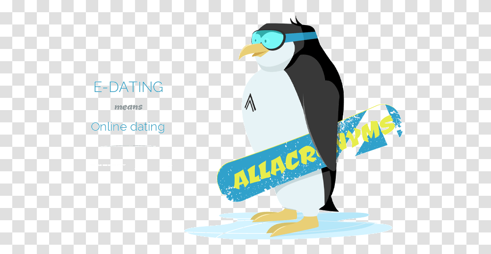 Best Quality, Penguin, Bird, Animal, Outdoors Transparent Png