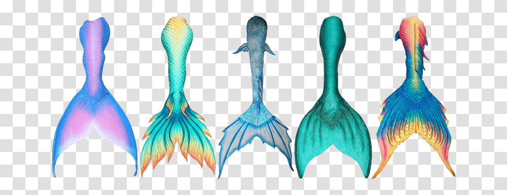 Best Realistic Mermaid Tails Top Reviews, Bird, Animal, Pattern Transparent Png