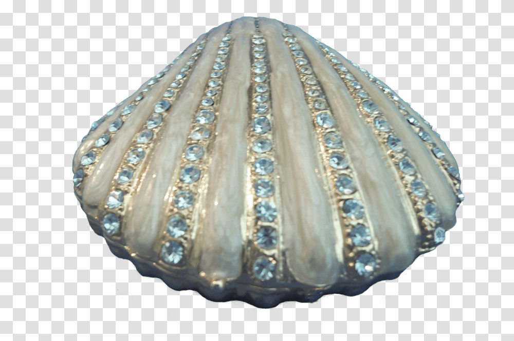 Best Seashell Clipart Background Blue Seashells, Sea Life, Animal, Clam, Invertebrate Transparent Png
