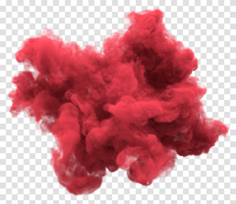 Best Smoke Bomb Editing In Picsart Color Red Smoke, Rose, Pattern, Nature, Outdoors Transparent Png