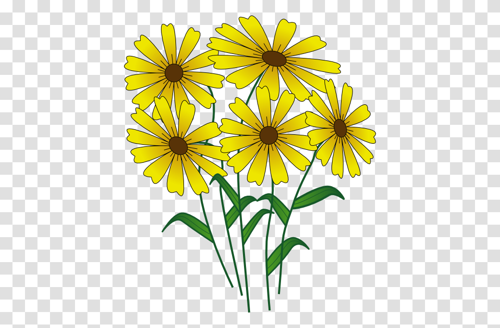 Best Spring Flowers Clip Art 24116 Clipartioncom Flower Free Clip Art, Plant, Blossom, Daisy, Daisies Transparent Png