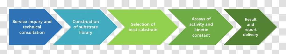 Best Substrate For An Enzymatic Reaction Graphic Design, Label, Logo Transparent Png