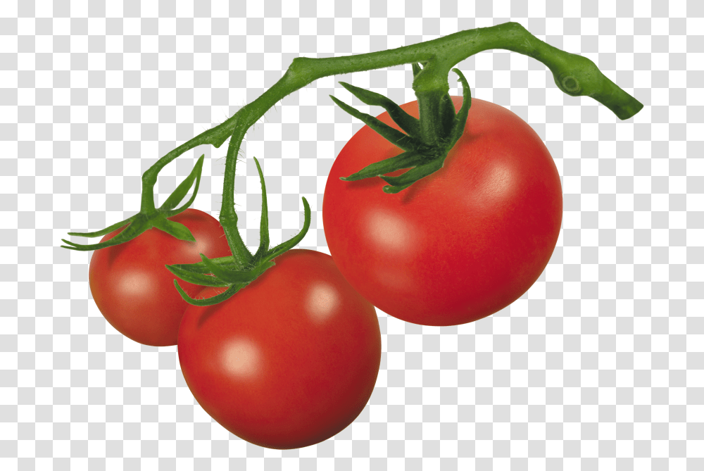 Best Tomato Clipart, Plant, Vegetable, Food Transparent Png