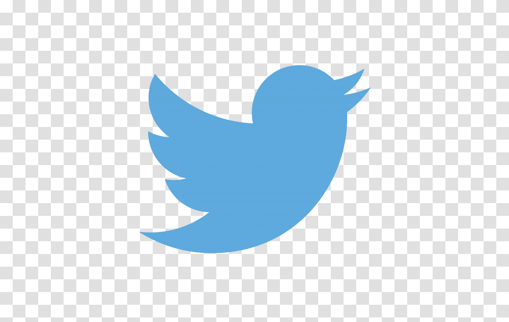 Best Twitter Background On Hipwallpaper Semi, Shark, Animal, Bird, Logo Transparent Png