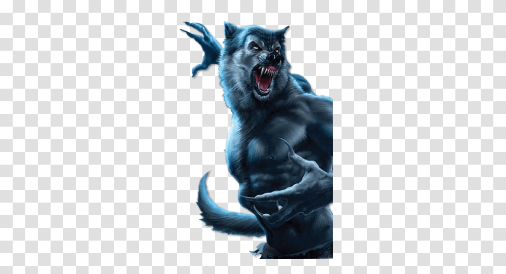 Best Werewolf Image With No Werewolf, Mammal, Animal, Wildlife, Teeth Transparent Png