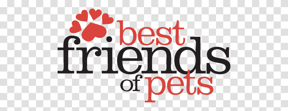Bestfriends Image, Hand, Animal, Mammal Transparent Png