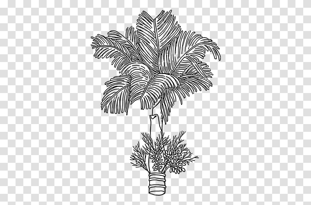 Betel Areca Nut Tree Clipart, Gray, World Of Warcraft Transparent Png