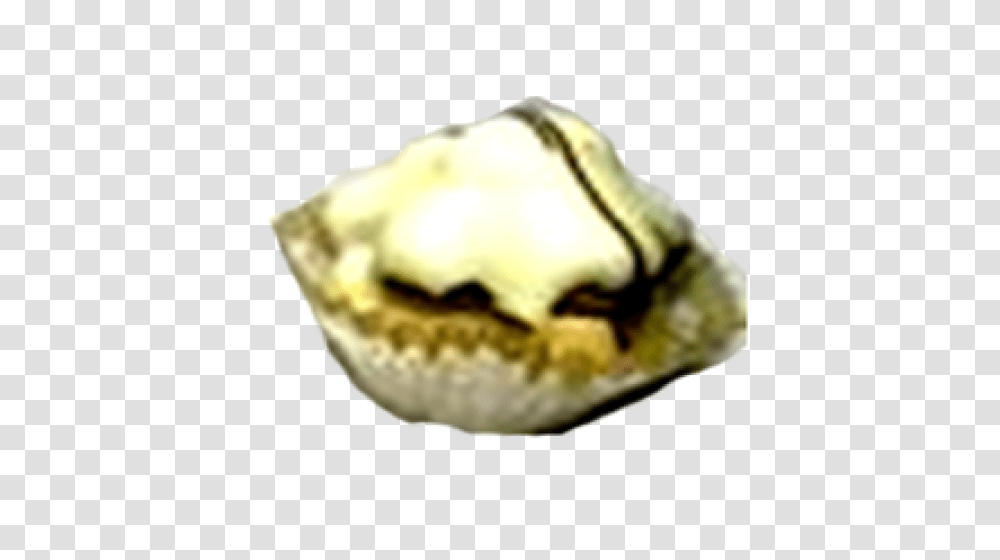 Betiforlux White Choco Pistak, Sweets, Food, Dessert, Clam Transparent Png
