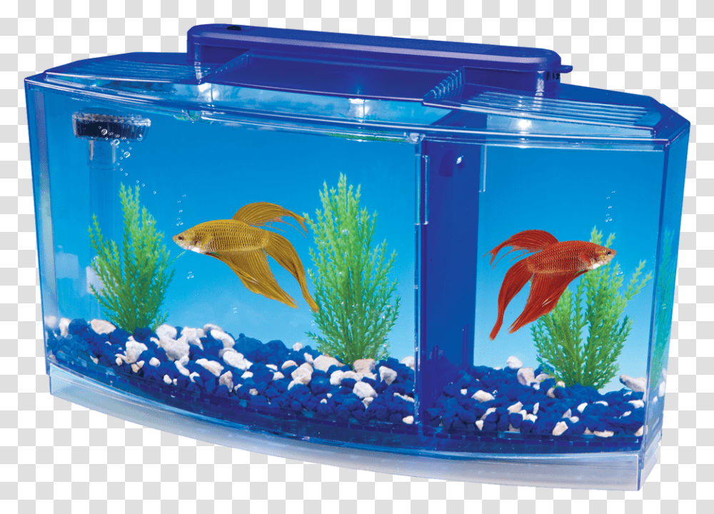 Betta Aquarium Kit With Led Lighting Betta Fish Tank, Water, Animal, Sea Life, Bird Transparent Png