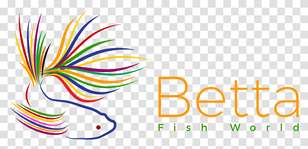 Betta Fish World Graphic Design, Bird, Animal Transparent Png