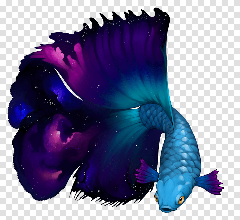 Betta Nebula Clipart Download Illustration, Animal, Bird, Fish Transparent Png