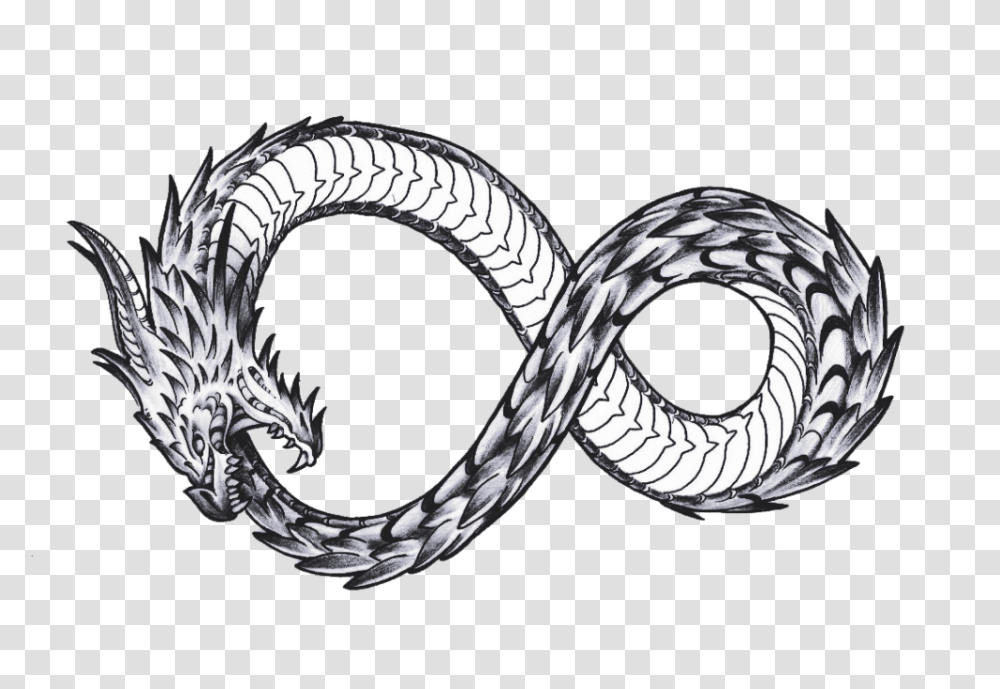 Better Late Then Never Cardano Stake Pool - The First To Circle, Snake, Reptile, Animal, Chain Transparent Png