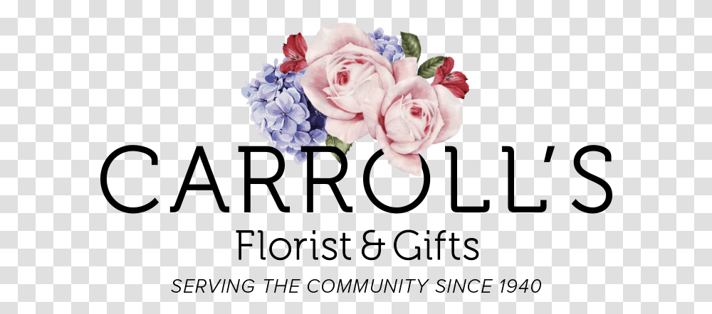 Beverly Florist Flower Delivery By Carroll's Garden Roses, Plant, Blossom, Flower Bouquet, Flower Arrangement Transparent Png