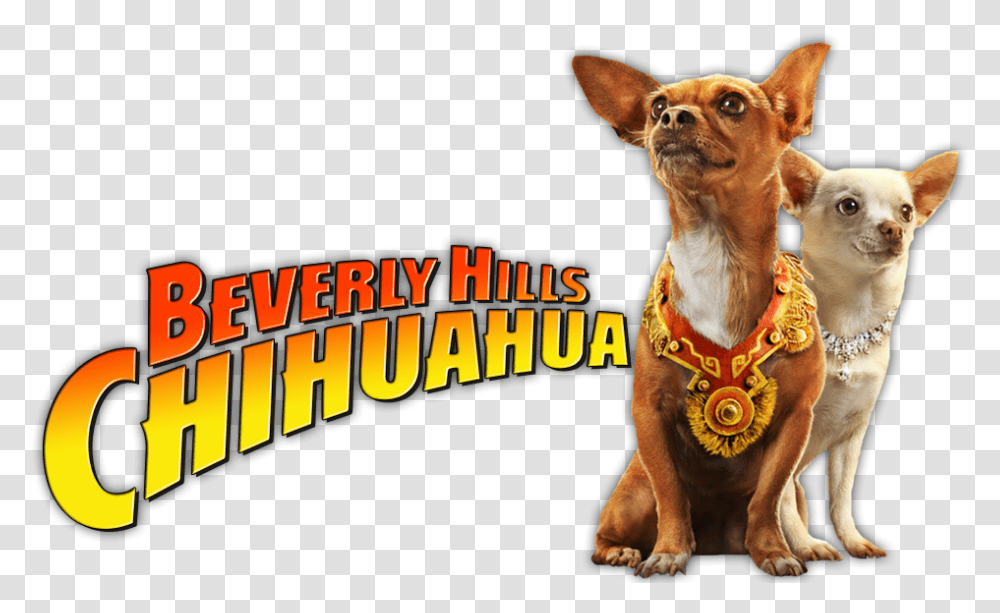 Beverly Hills Chihuahua Image Clipart Download, Dog, Pet, Canine, Animal Transparent Png