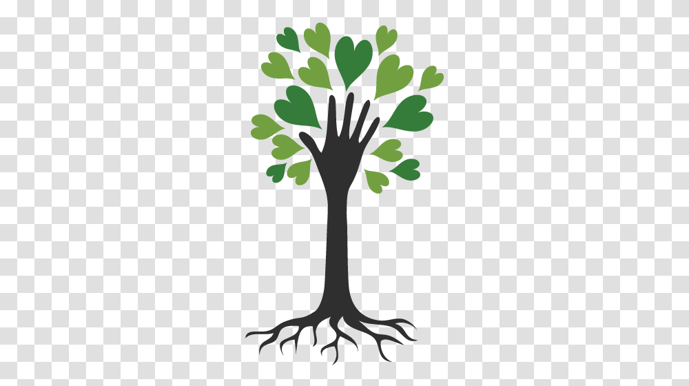 Beyond Please And Thank You, Plant, Tree, Leaf, Flower Transparent Png