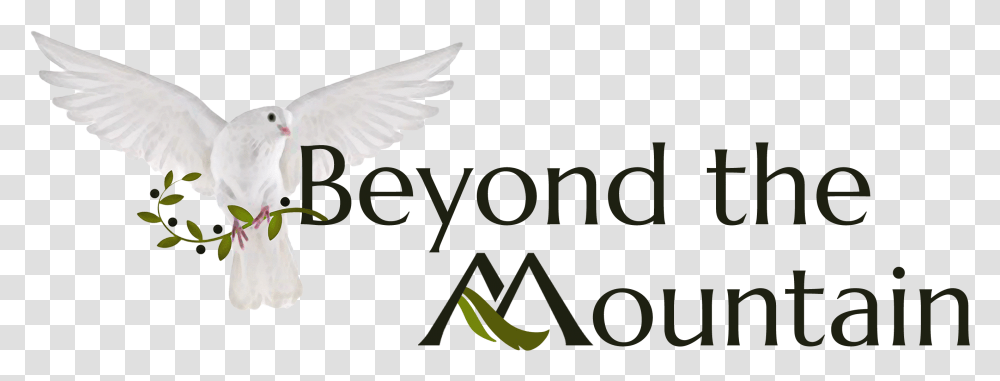 Beyond The Mountain Pigeons And Doves, Bird, Animal, Logo Transparent Png