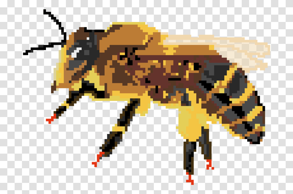 Bff Bexthehexx Honeybee, Animal, Invertebrate, Insect, Rug Transparent Png