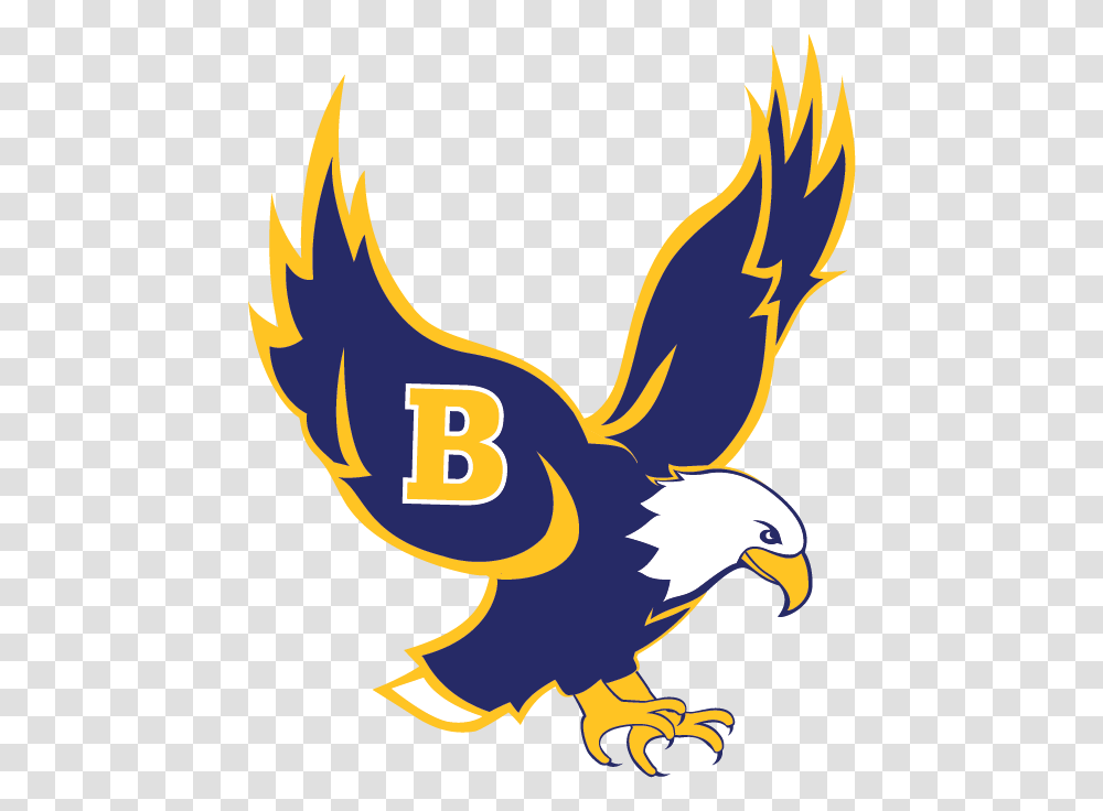 Bhs Boys Basketball Game Rhode Island Barrington High School, Eagle, Bird, Animal, Bald Eagle Transparent Png